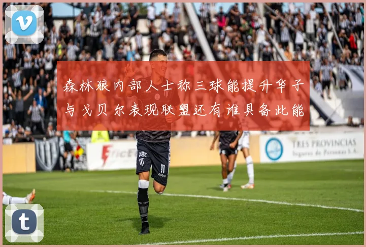 森林狼内部人士称三球能提升华子与戈贝尔表现联盟还有谁具备此能力